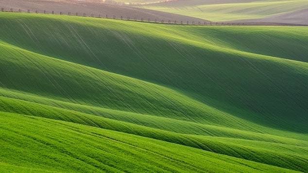 iStock-field-25-08-2020-min.jpg